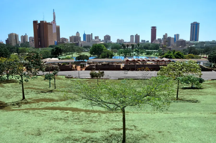 The Nairobi skyline seen across Uhuru Park on a clear day